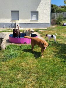 Im Sommer muss eine Abkühlung schon sein