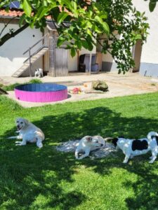 Im Schatten lässt es sich gut aushalten