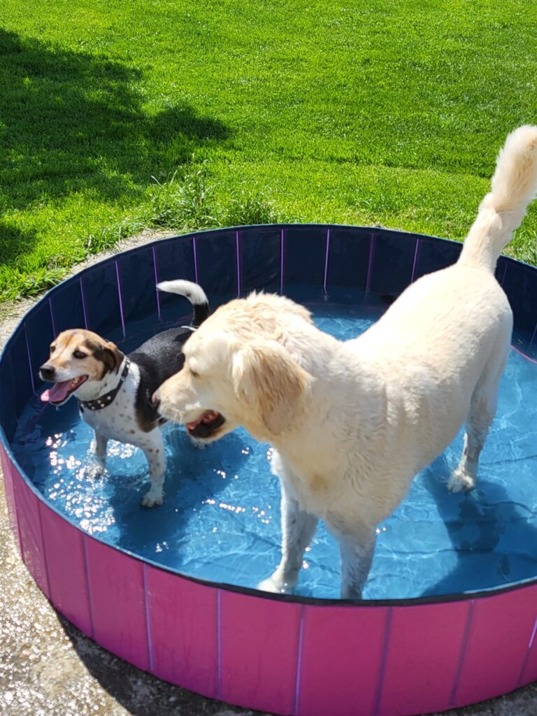 Hundepension Luna in Neuburg am Inn