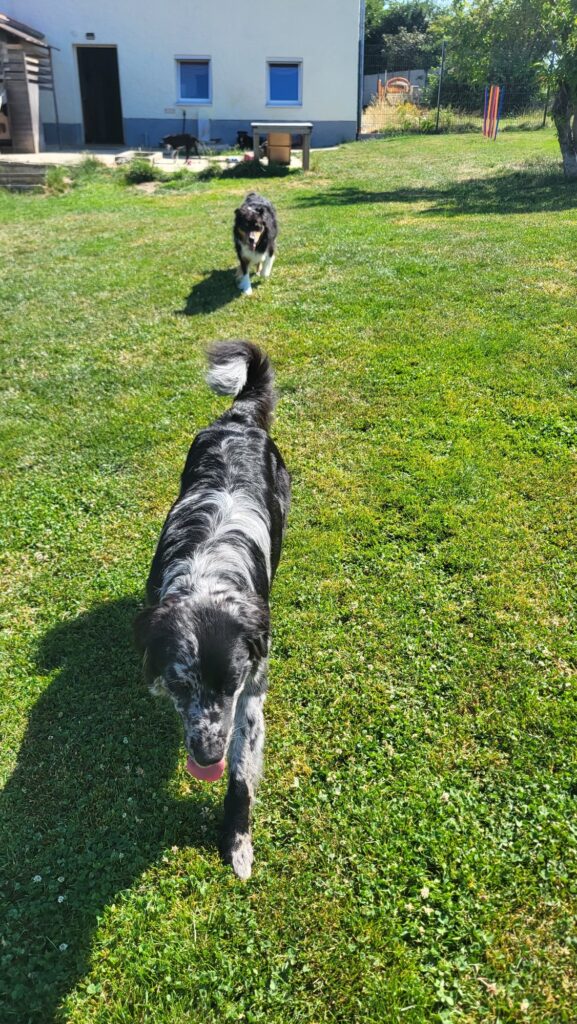 fff0889b b041 4e88 bd48 dbfdc22326a8